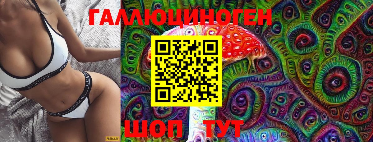 Тимашёвск  Галлюциногенные грибы мухоморы  Вход с VPN  Псилоцибиновые грибы Cubensis 
